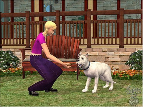 The Sims 2: Pets and Friends