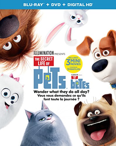 The Secret Life of Pets - Blu-Ray/DVD