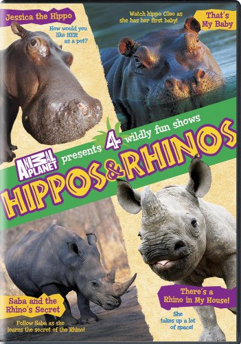 Hippos &amp; Rhinos