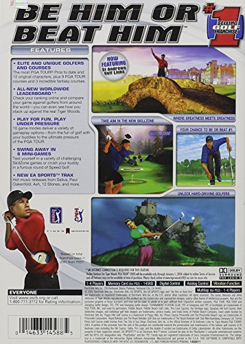 Tiger Woods PGA Tour 2003 - PlayStation 2