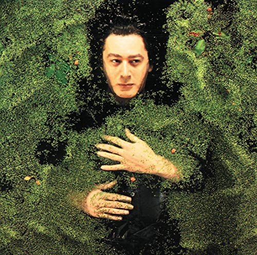 Alain Bashung / Military Fantasy - CD (Used)