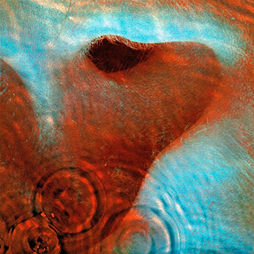 Pink Floyd / Meddle (1971) - CD (Used)