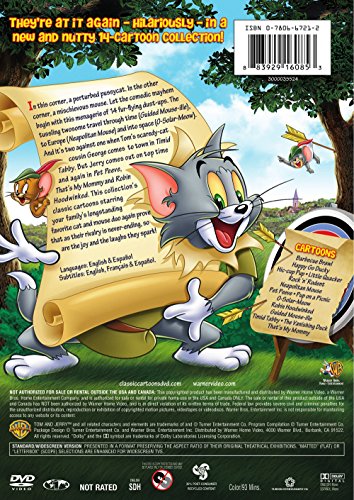 Tom and Jerry: Fur Flying Adventures - DVD