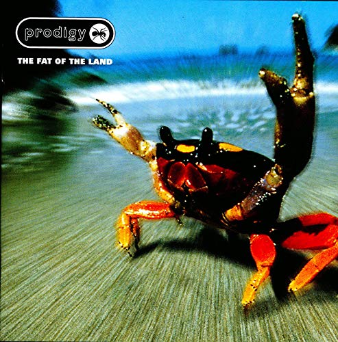 Prodigy / Fat Of The Land - CD (Used)