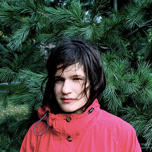 Adrianne Lenker / Hours Were The Birds (Crossfile Big Thief) - LP