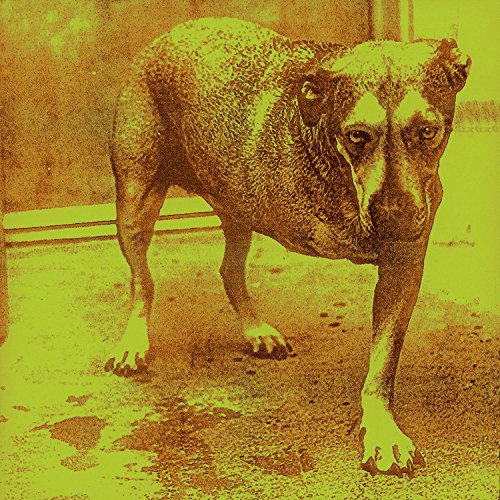 Alice In Chains / Alice In Chains - CD (Used)