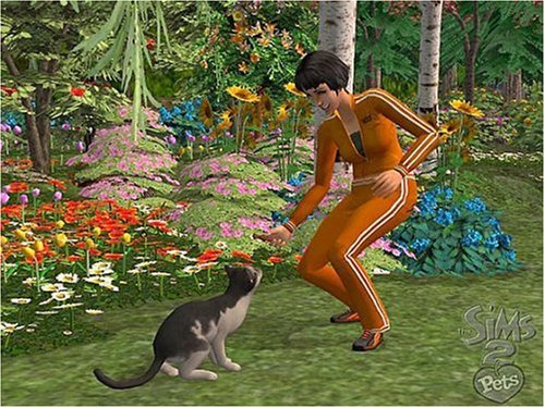 The Sims 2: Pets and Friends