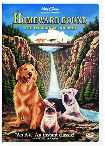 Homeward Bound: Incredible Journey - DVD (Used)