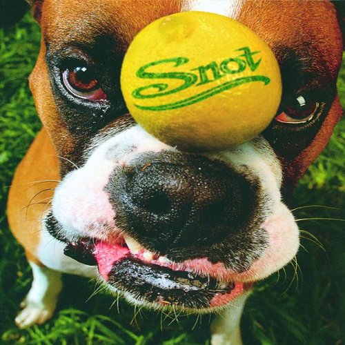 Snot / Get Some - CD (Used)