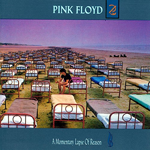 Pink Floyd / Momentary Lapse of Reason - CD (Used)