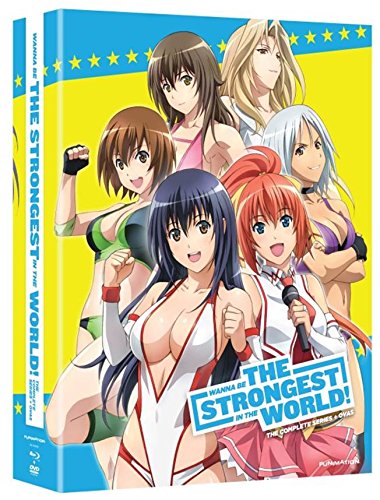 Wanna Be the Strongest in the World! - Complete Series & OVAs [Blu-ray + DVD] Limited Edition - Blu-Ray (Used)