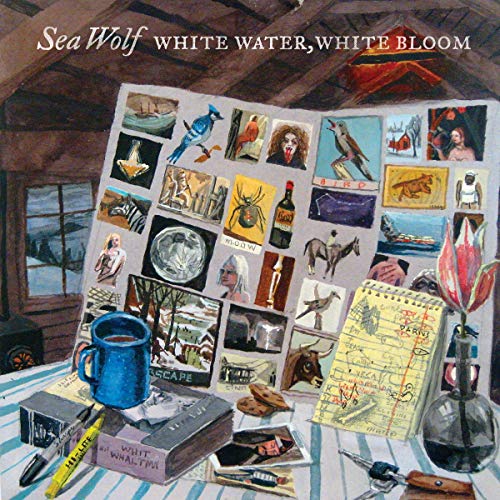 White Water White Bloom