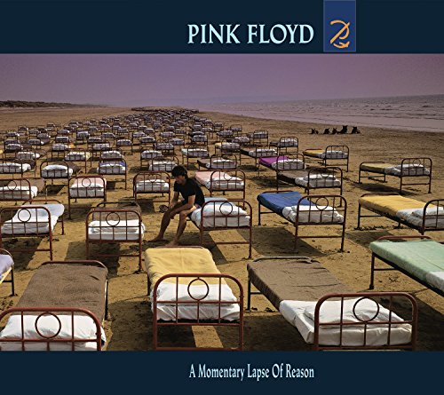 Pink Floyd / A Momentary Lapse of Reason - CD