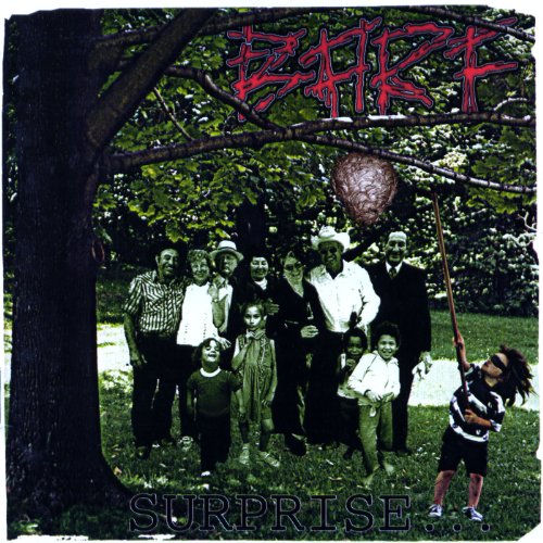 B.A.R.F. / Surprise - CD (Used)