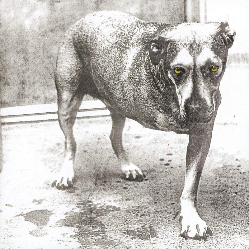 Alice In Chains / Alice In Chains - CD