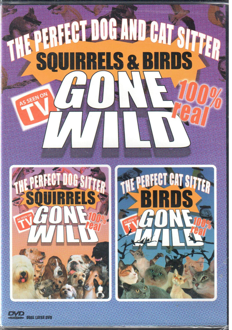 Squirrels & Birds Gone Wild