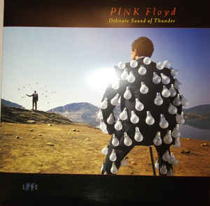 Pink Floyd / Delicate Sound Of Thunder - 2LP