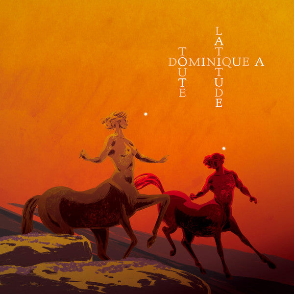 Dominique A. / Any Latitude - LP