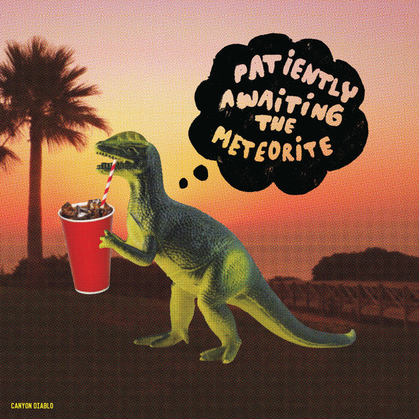 Patiently Awaiting The Meteorite ‎/ Canyon Diablo - LP Used