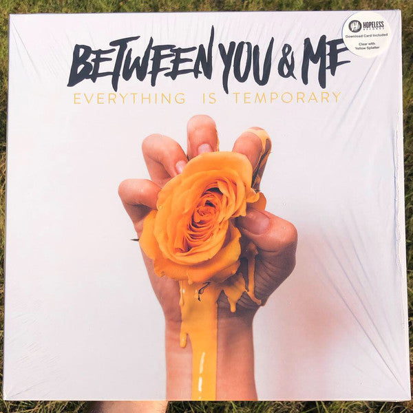 Between You and Me / Everything Is Temporary - LP