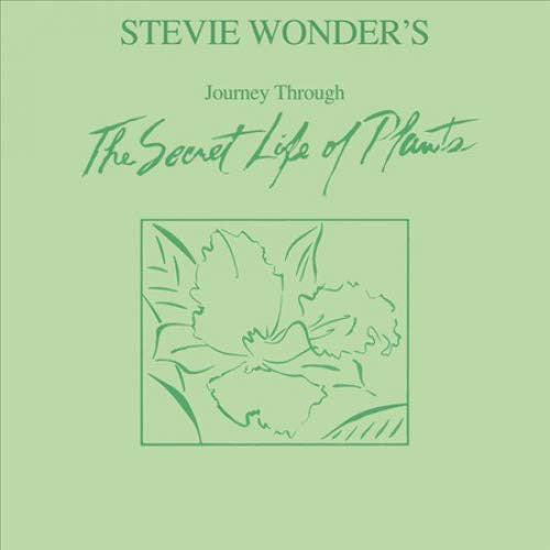 Stevie Wonder / Journey Through The Secret Life Of Plants - 2LP Used