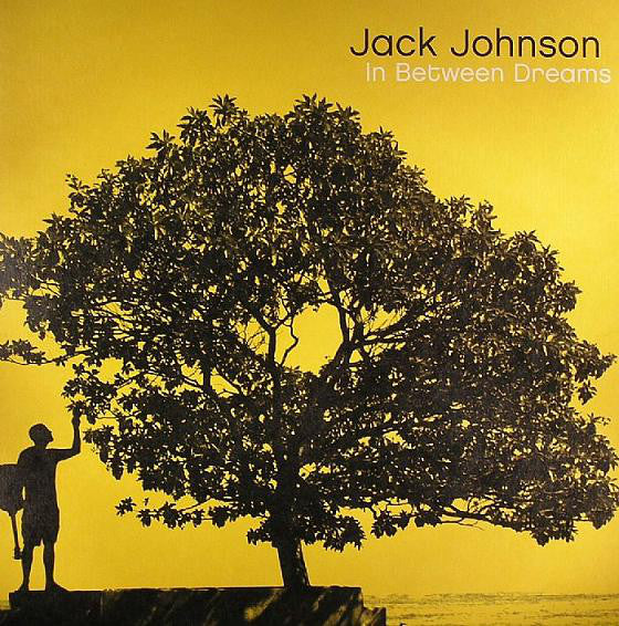 Jack Johnson / In Between Dreams - LP