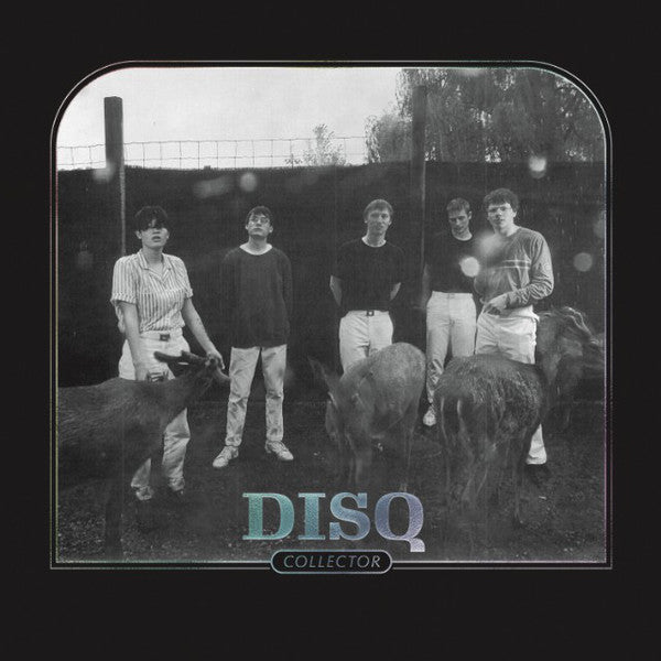 Disq / Collector - LP