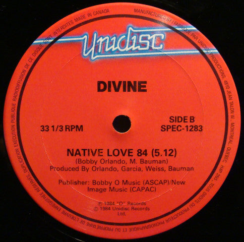 The Flirts / Divine / Helpless (You Took My Love) / Native Love 84 - LP 12&