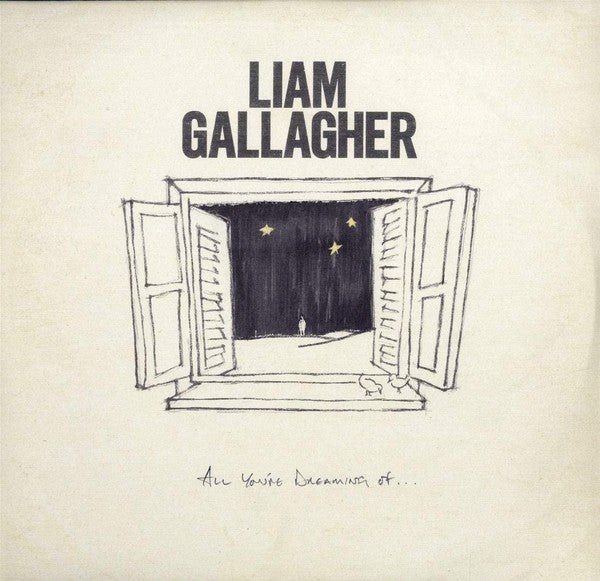 Liam Gallagher ‎/ All You&