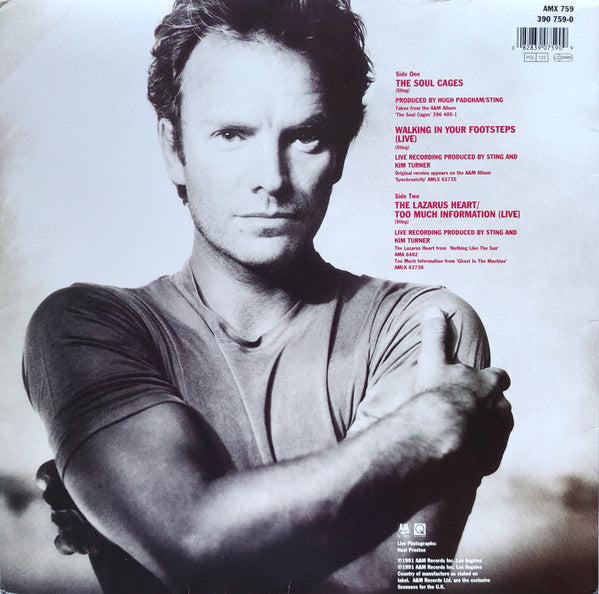 Sting / The Soul Cages - LP Used 12&