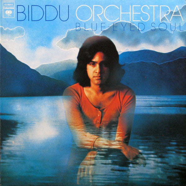 Biddu Orchestra ‎/ Blue-Eyed Soul - LP Used