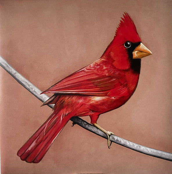 Alexisonfire / Old Crows / Young Cardinals - 2LP