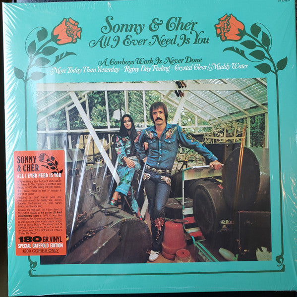 Sonny &amp; Cher / All I Ever Need Is You - LP