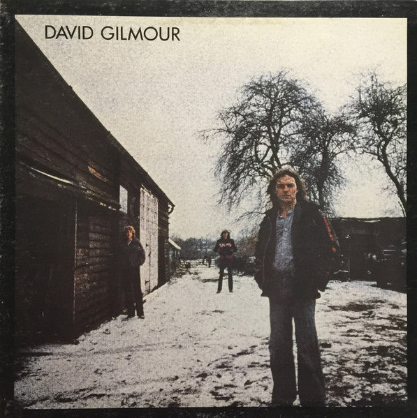 David Gilmour / David Gilmour - LP Used