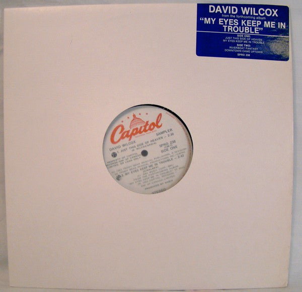 David Wilcox / Sampler - LP Used