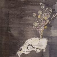 Steve Gunn and Black Twig Pickers / Seasonal Hire - LP