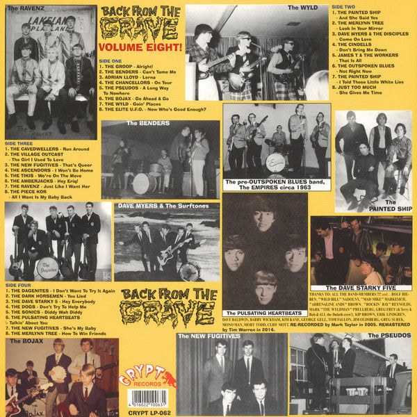 Various / Back From The Grave Volume Eight - LP (Used)