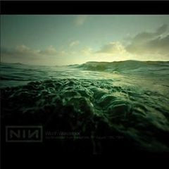 Nine Inch Nails / Wild in Woodstock - 2LP